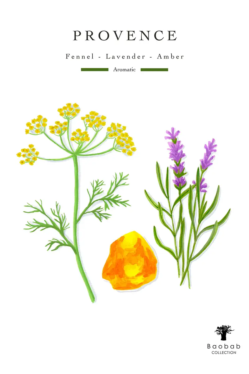 BAOBAB COLLECTION Provence Diffuser | Thumbnail 2