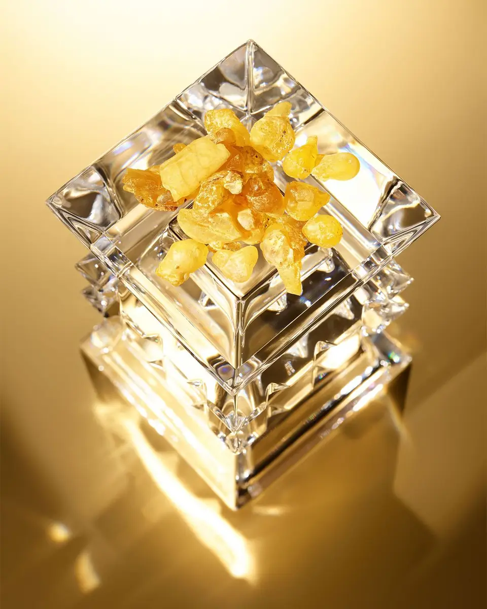 Acqua di Parma Crystal Incense Eau de Parfum, 3.4 oz. | Thumbnail 3 Acqua di Parma Crystal Incense Eau de Parfum, 3.4 oz. | Thumbnail 3