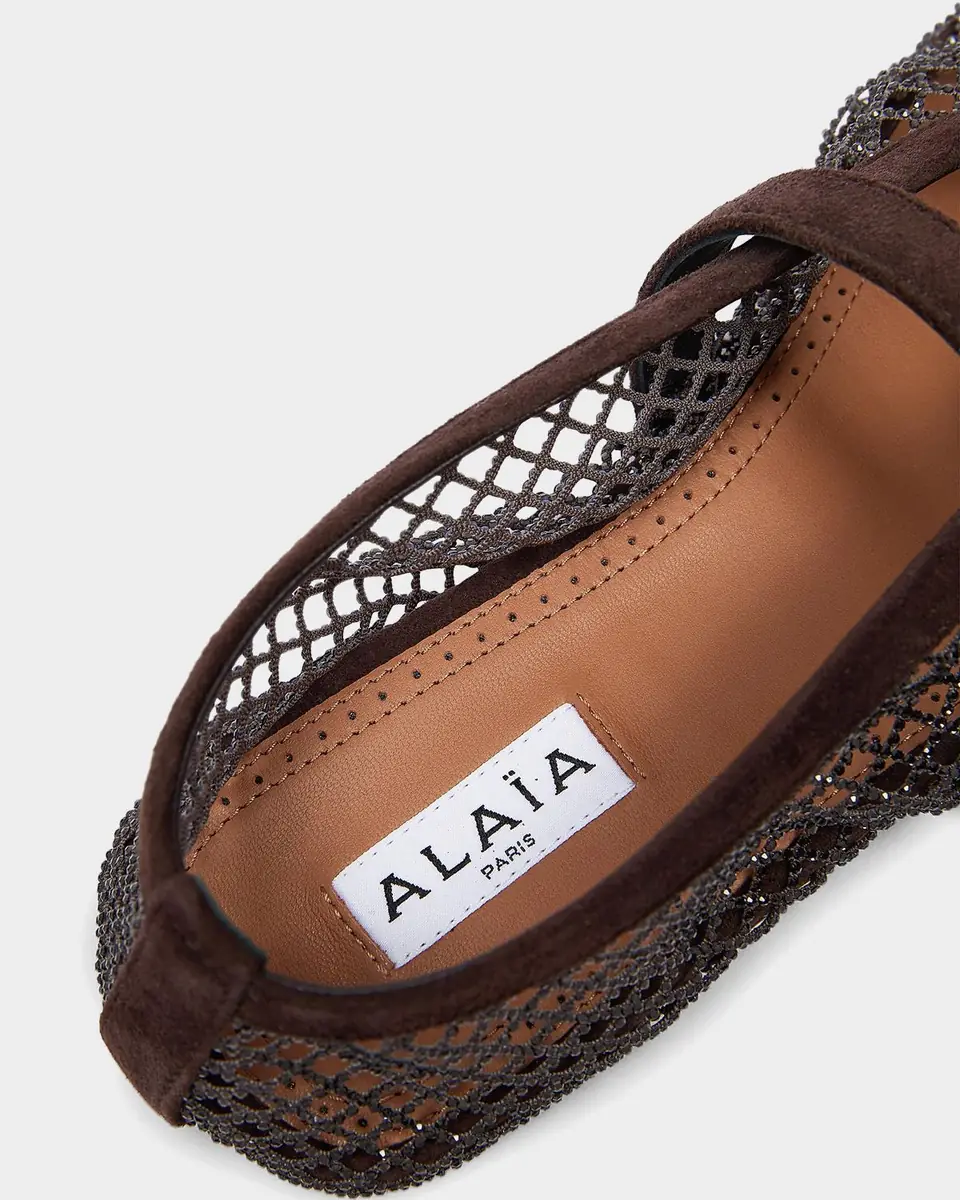 Alaïa Crystal Mesh Ballet Flats | Thumbnail 5