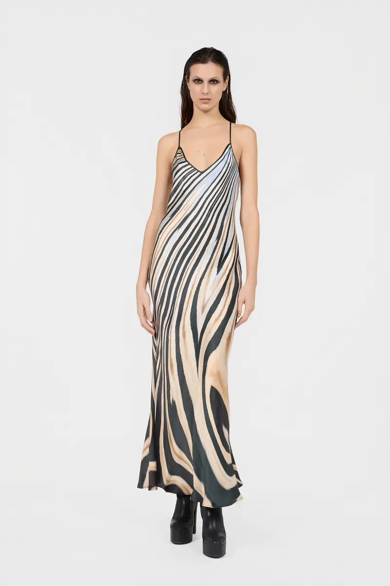 Roberto Cavalli Zebra Print Slip Dress | Thumbnail 2 Roberto Cavalli Zebra Print Slip Dress | Thumbnail 2