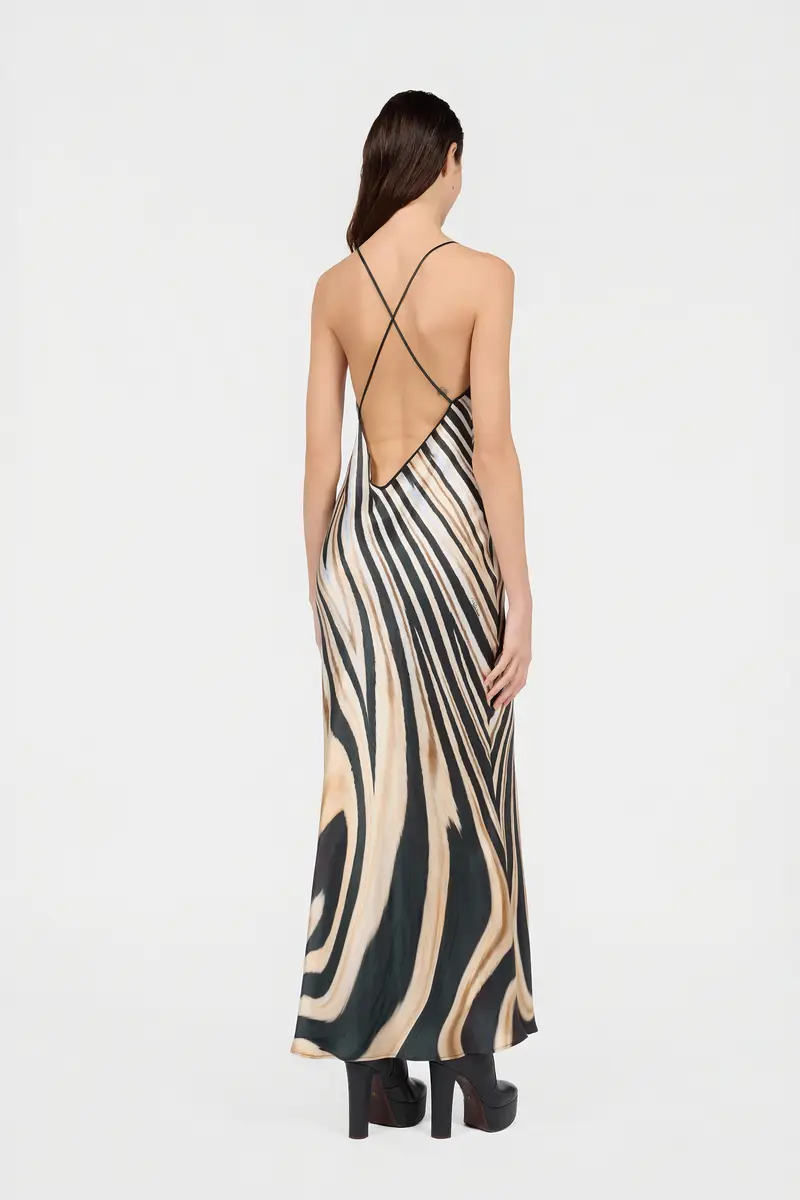 Roberto Cavalli Zebra Print Slip Dress | Thumbnail 3 Roberto Cavalli Zebra Print Slip Dress | Thumbnail 3