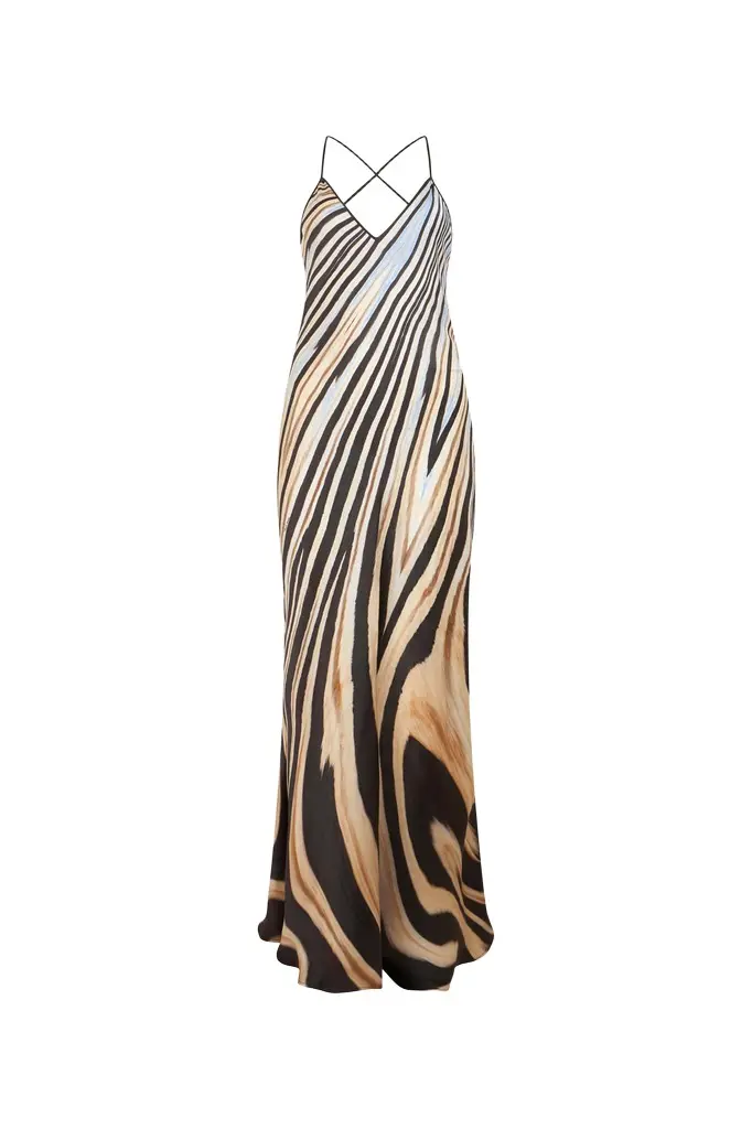 Roberto Cavalli Zebra Print Slip Dress | Image 1 Roberto Cavalli Zebra Print Slip Dress | Image 1