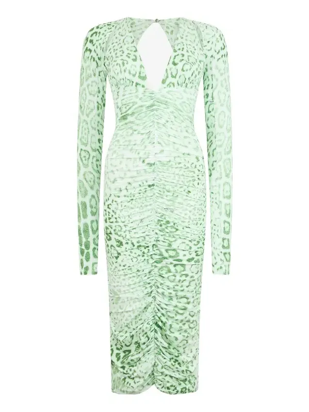 Jaguar Mint Print Midi Dress Jaguar Mint Print Midi Dress