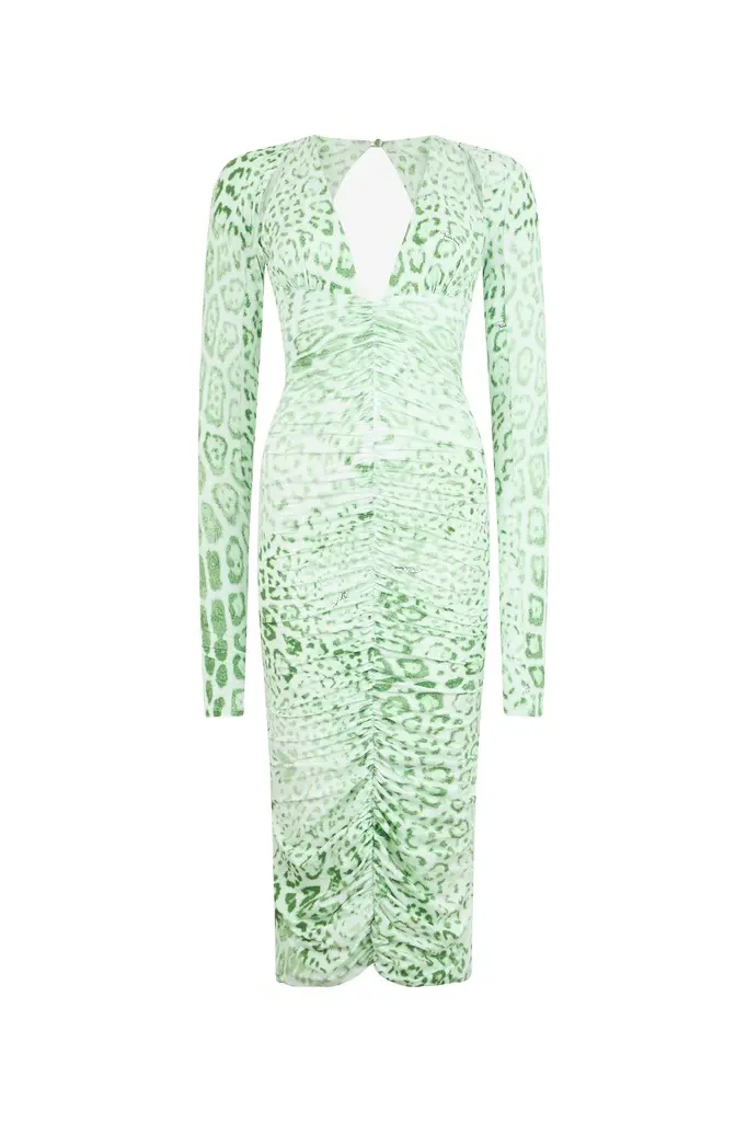 Roberto Cavalli Jaguar Mint Print Midi Dress | Image 1 Roberto Cavalli Jaguar Mint Print Midi Dress | Image 1
