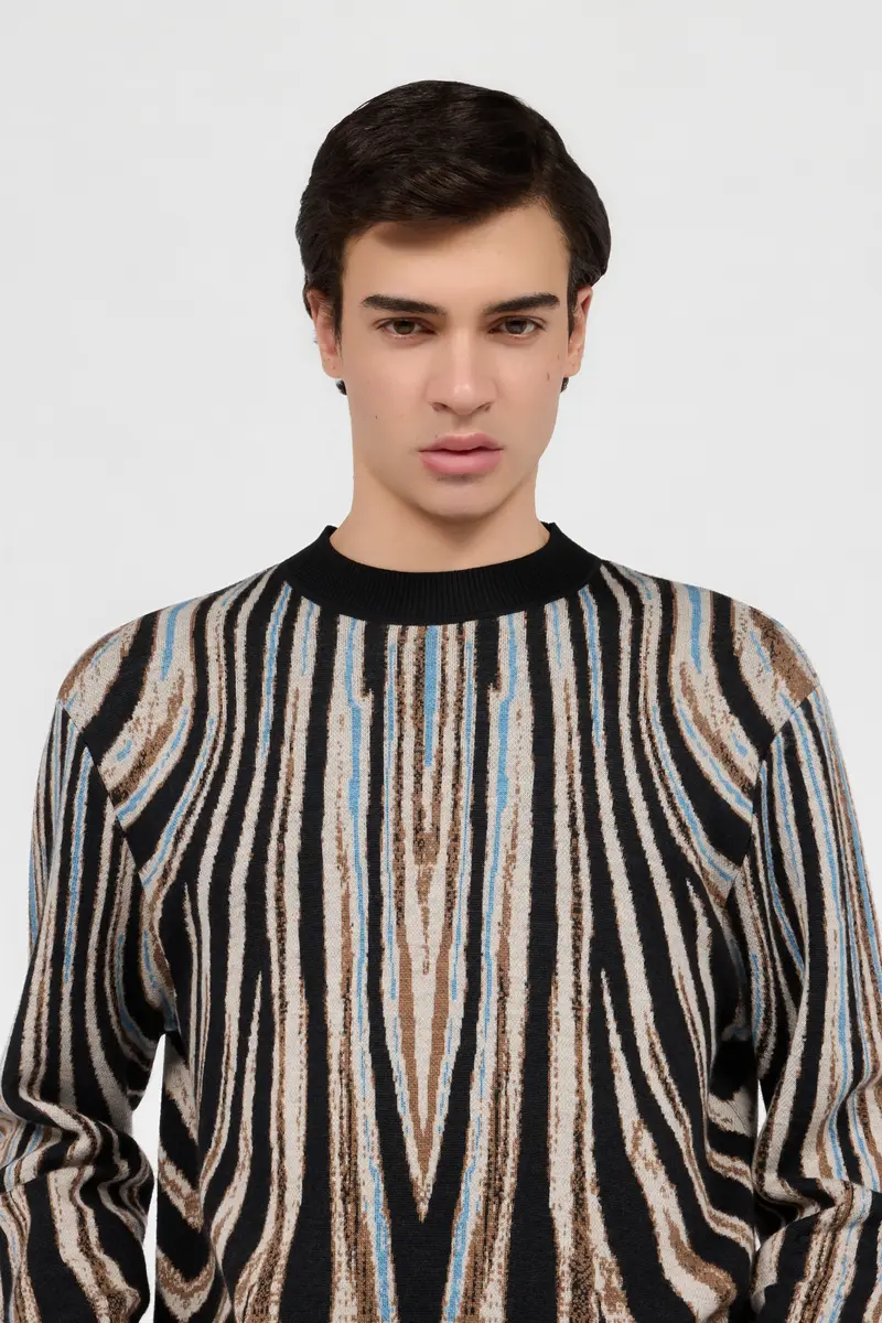 Roberto Cavalli Sweater With Zebra Print | Thumbnail 4 Roberto Cavalli Sweater With Zebra Print | Thumbnail 4