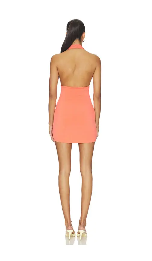 Lovers and Friends Lupa Mini Dress | Thumbnail 3