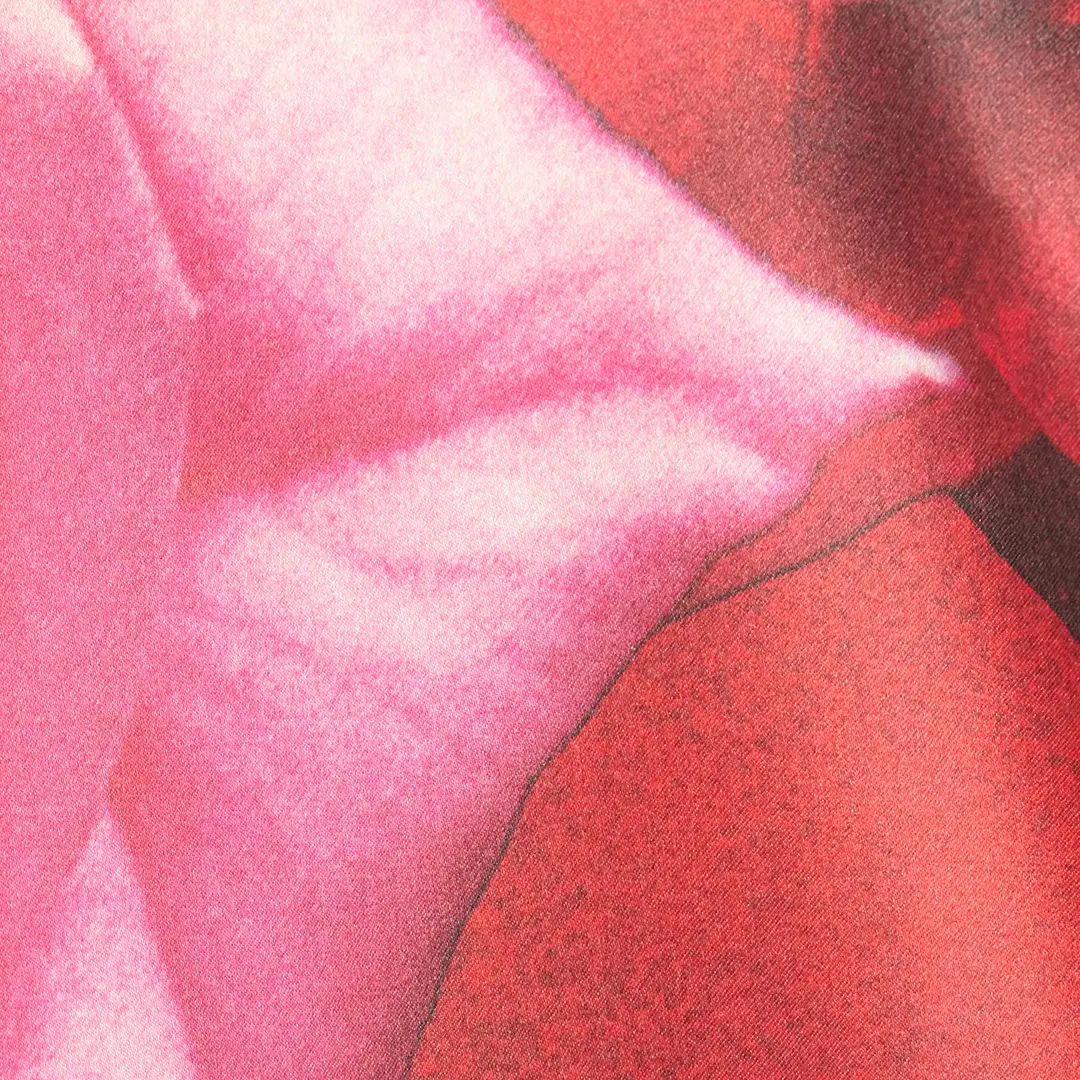 Roberto Cavalli Mini Shirt Dress With Rose Print | Thumbnail 4 Roberto Cavalli Mini Shirt Dress With Rose Print | Thumbnail 4