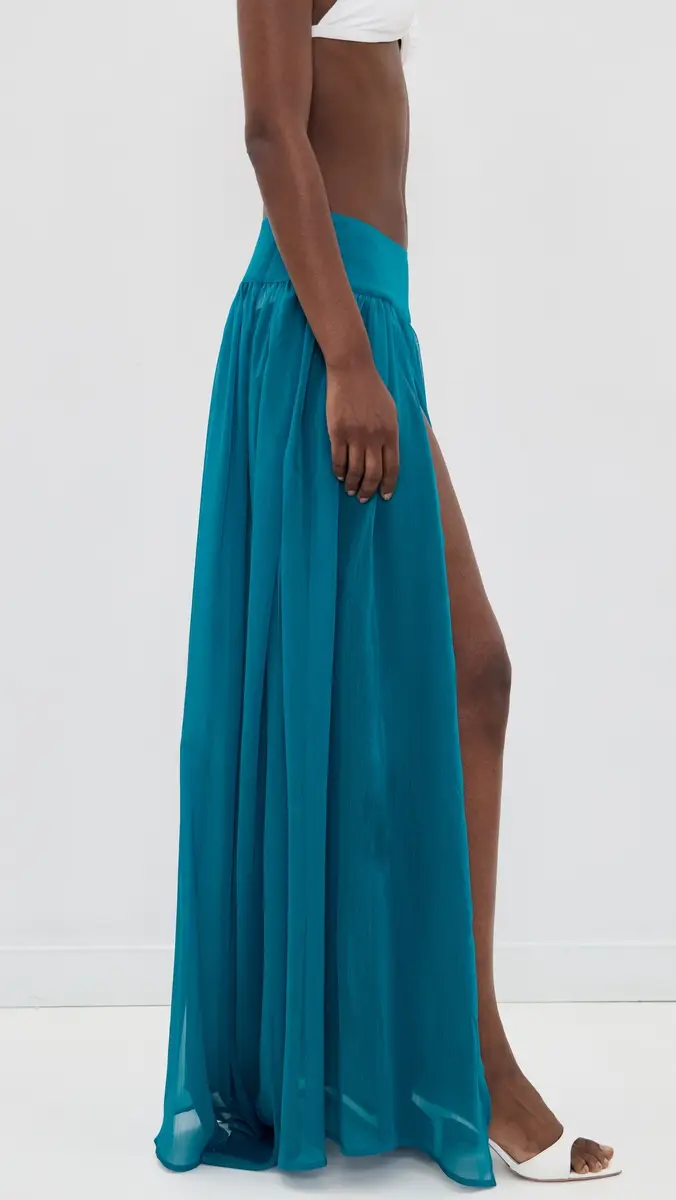 Shani Shemer Medow Maxi Skirt | Thumbnail 5