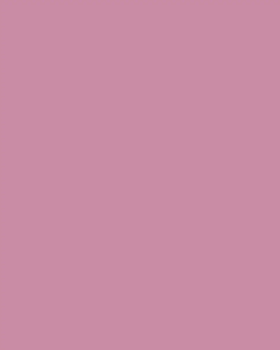 GINORI 1735 Oriente Italiano Dinner Plate, Porpora | Thumbnail 3