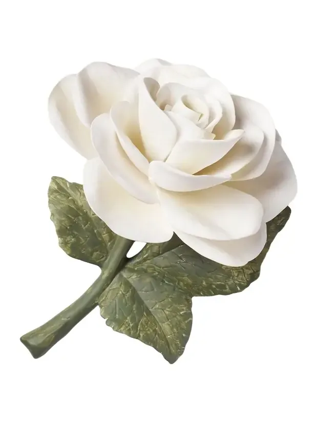 AERIN Porcelain Rose