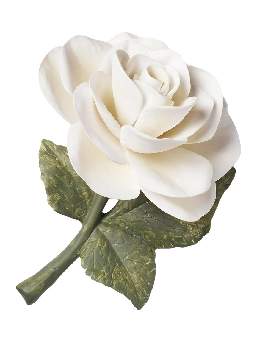 AERIN Porcelain Rose