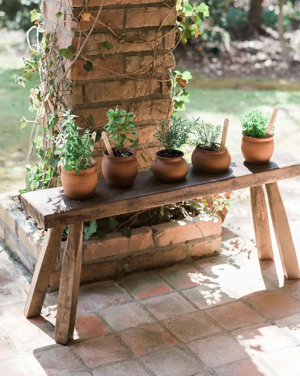 etúHome Found Stable Pine Bench | Thumbnail 2 etúHome Found Stable Pine Bench | Thumbnail 2