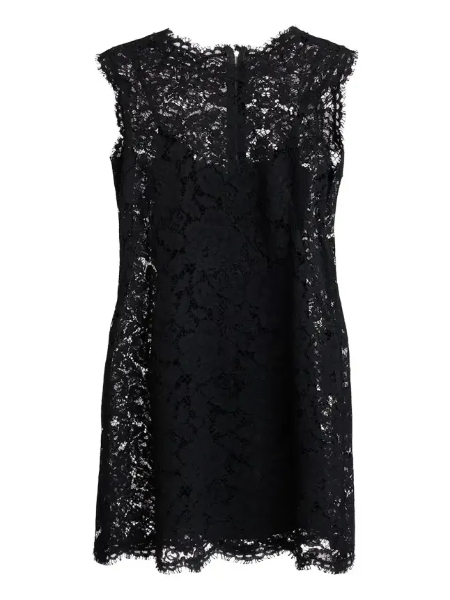 Sleeveless Floral Lace A-Line Dress