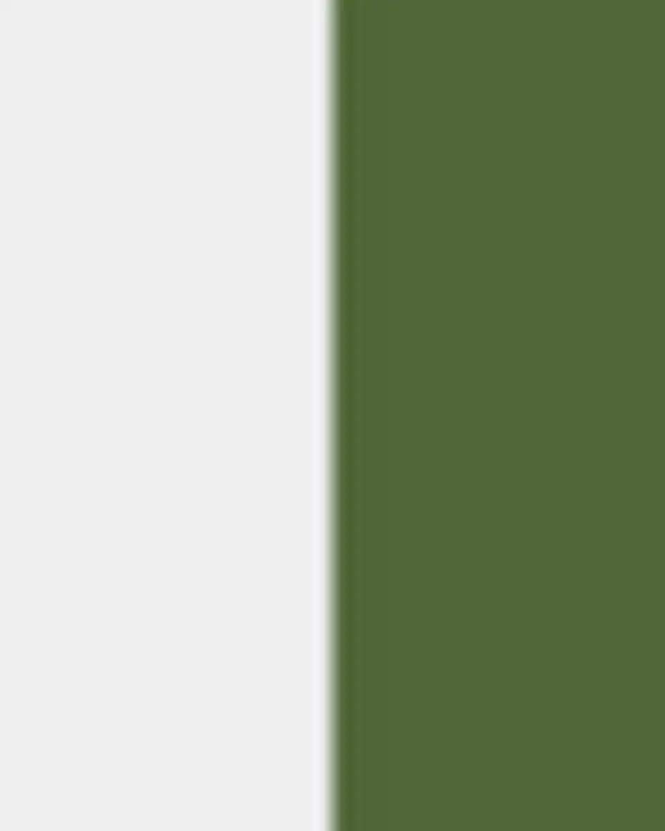 GINORI 1735 Florenza Malva Dinner Plate | Thumbnail 4 GINORI 1735 Florenza Malva Dinner Plate | Thumbnail 4
