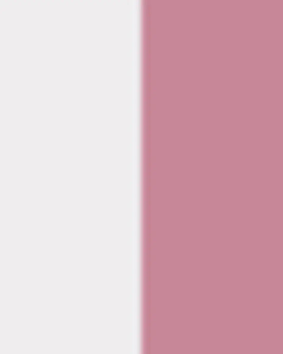 GINORI 1735 Florenza Acanto Dinner Plate | Thumbnail 3 GINORI 1735 Florenza Acanto Dinner Plate | Thumbnail 3