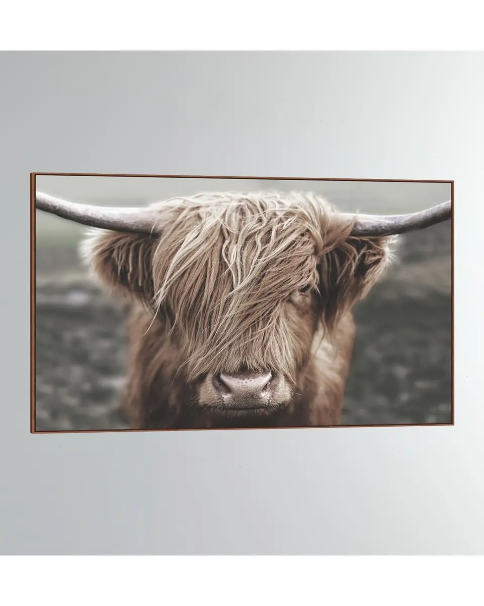 Wendover Art Group 'Highlands Bovine ' Wall Art | Thumbnail 3
