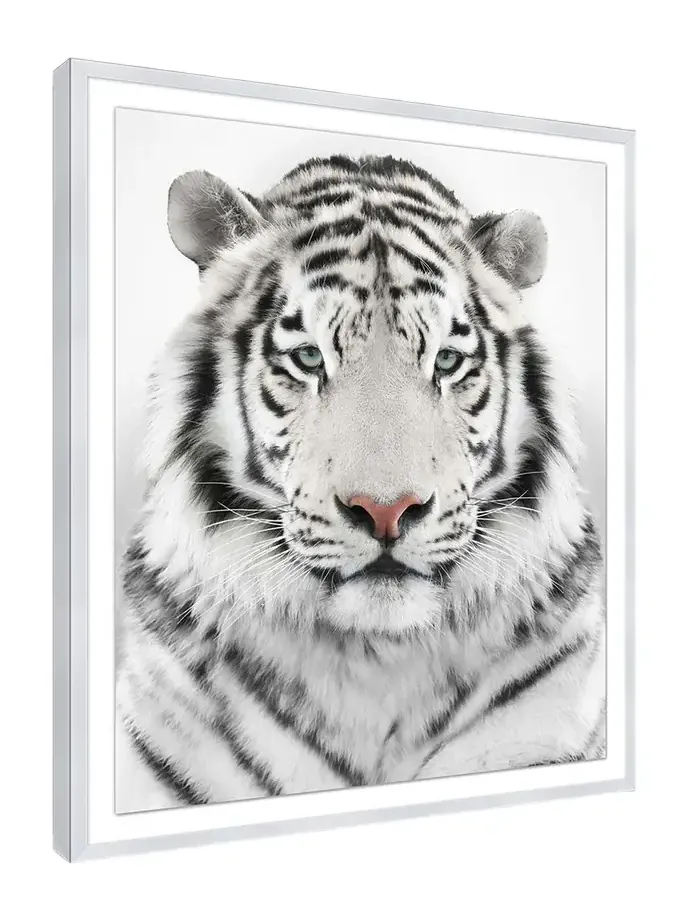 Wendover Art Group Snow Tiger Giclee