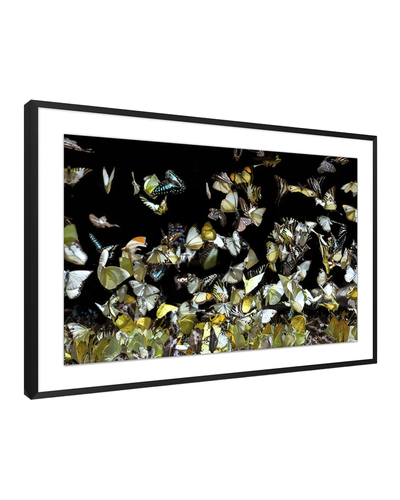 Wendover Art Group "Reflecting Butterflies 2" Giclee