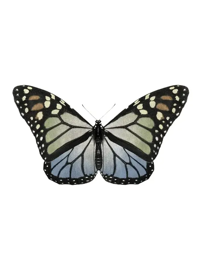 Wendover Art Group "Crackled Butterfly 1" Giclee Print