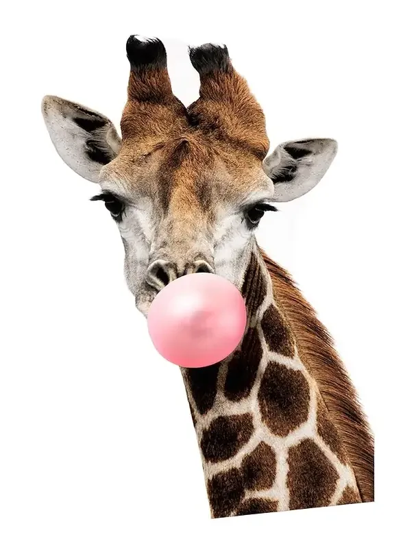 Wendover Art Group 'Pink Pop ' Giraffe Photo Giclee Wall Art