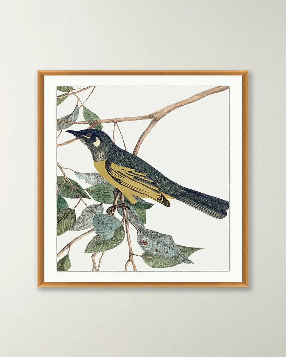 Wendover Art Group 'Birds Of A Feather 2 ' Wall Art | Thumbnail 2 Wendover Art Group 'Birds Of A Feather 2 ' Wall Art | Thumbnail 2