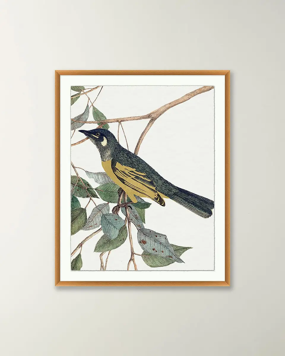 Wendover Art Group 'Birds Of A Feather 2 ' Wall Art | Thumbnail 4 Wendover Art Group 'Birds Of A Feather 2 ' Wall Art | Thumbnail 4