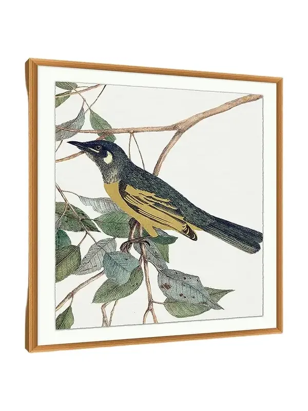 Wendover Art Group 'Birds Of A Feather 2 ' Wall Art