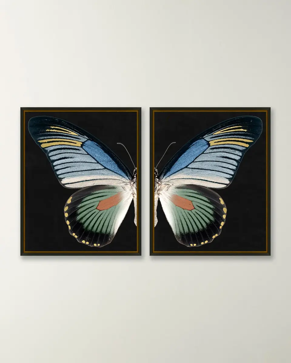 Wendover Art Group "Gilded Wings 2" Giclees, Set of 2 | Thumbnail 3
