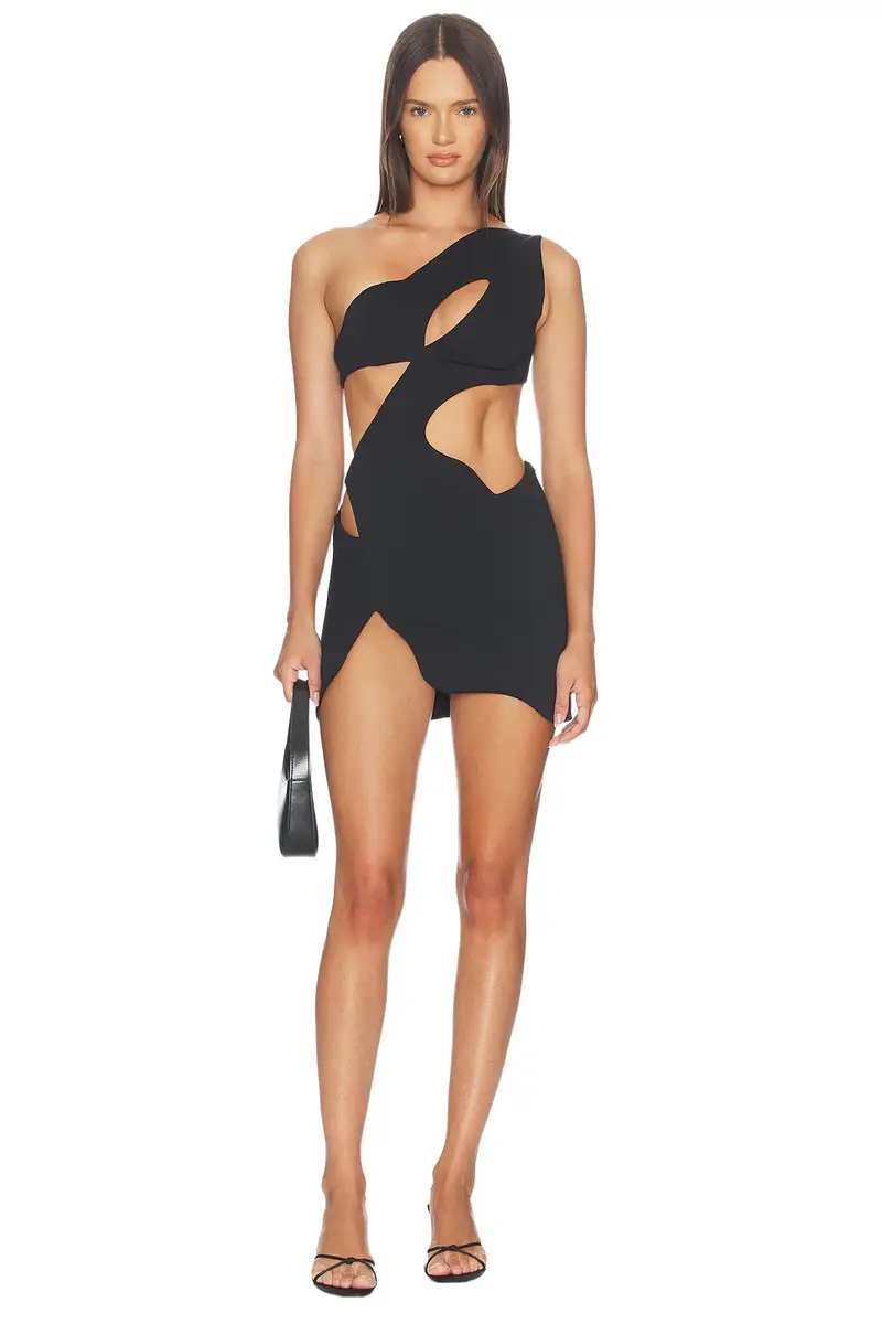 Mother of All Swan Dress