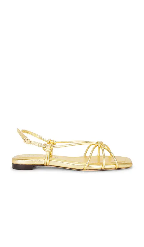 Loeffler Randall Karly Strappy Flat Sandal | Image 1 Loeffler Randall Karly Strappy Flat Sandal | Image 1