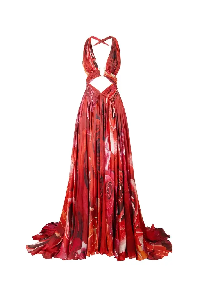 Roberto Cavalli Long Dress With Rose Print And Cut-Out | Image 1 Roberto Cavalli Long Dress With Rose Print And Cut-Out | Image 1