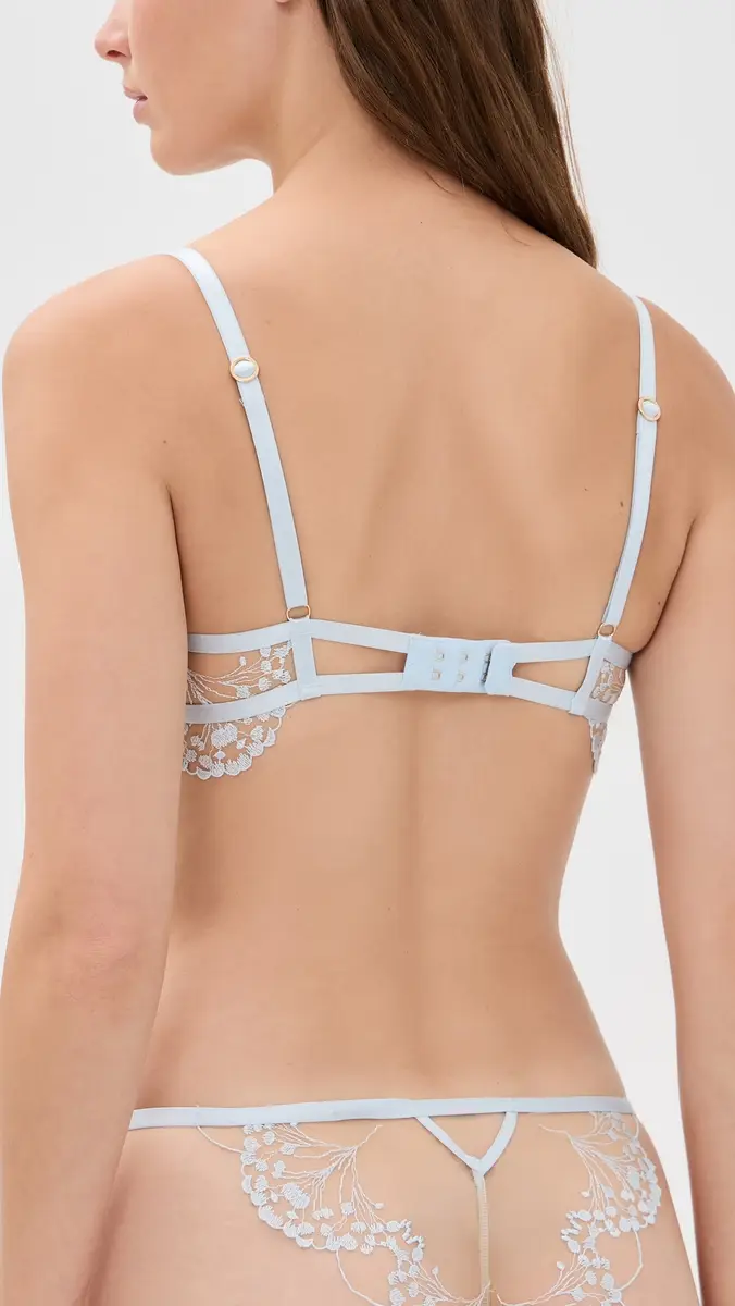 Bluebella Marisa Embroidered Sheer Panty | Thumbnail 3