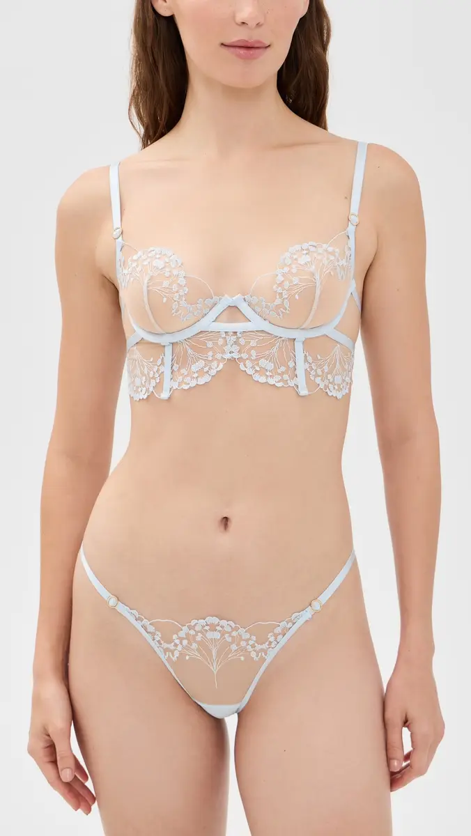 Bluebella Marisa Embroidered Sheer Panty | Thumbnail 4
