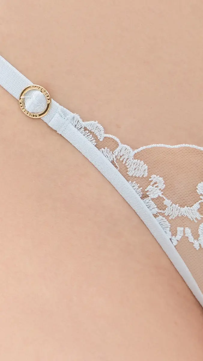 Bluebella Marisa Embroidered Sheer Panty | Thumbnail 5