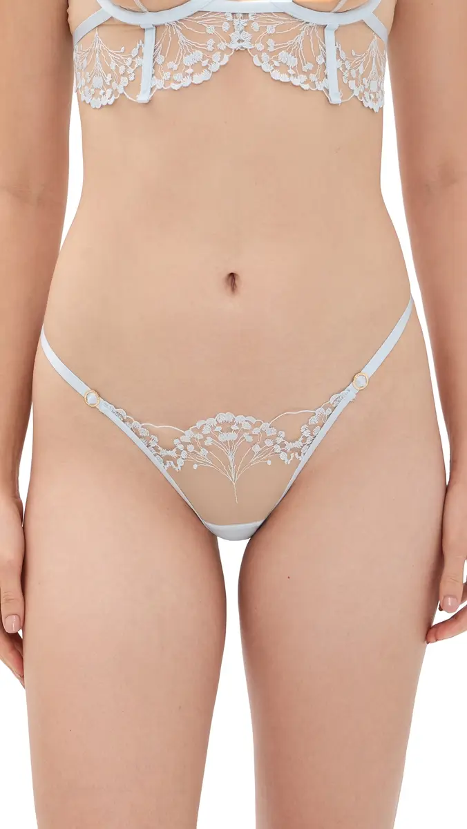 Bluebella Marisa Embroidered Sheer Panty | Thumbnail 6