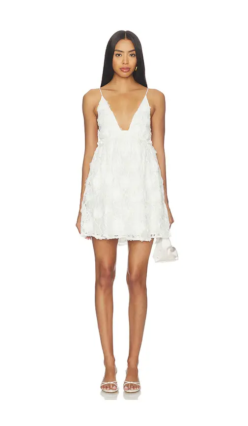 Lovers and Friends Kalin Mini Dress | Image 1 Lovers and Friends Kalin Mini Dress | Image 1