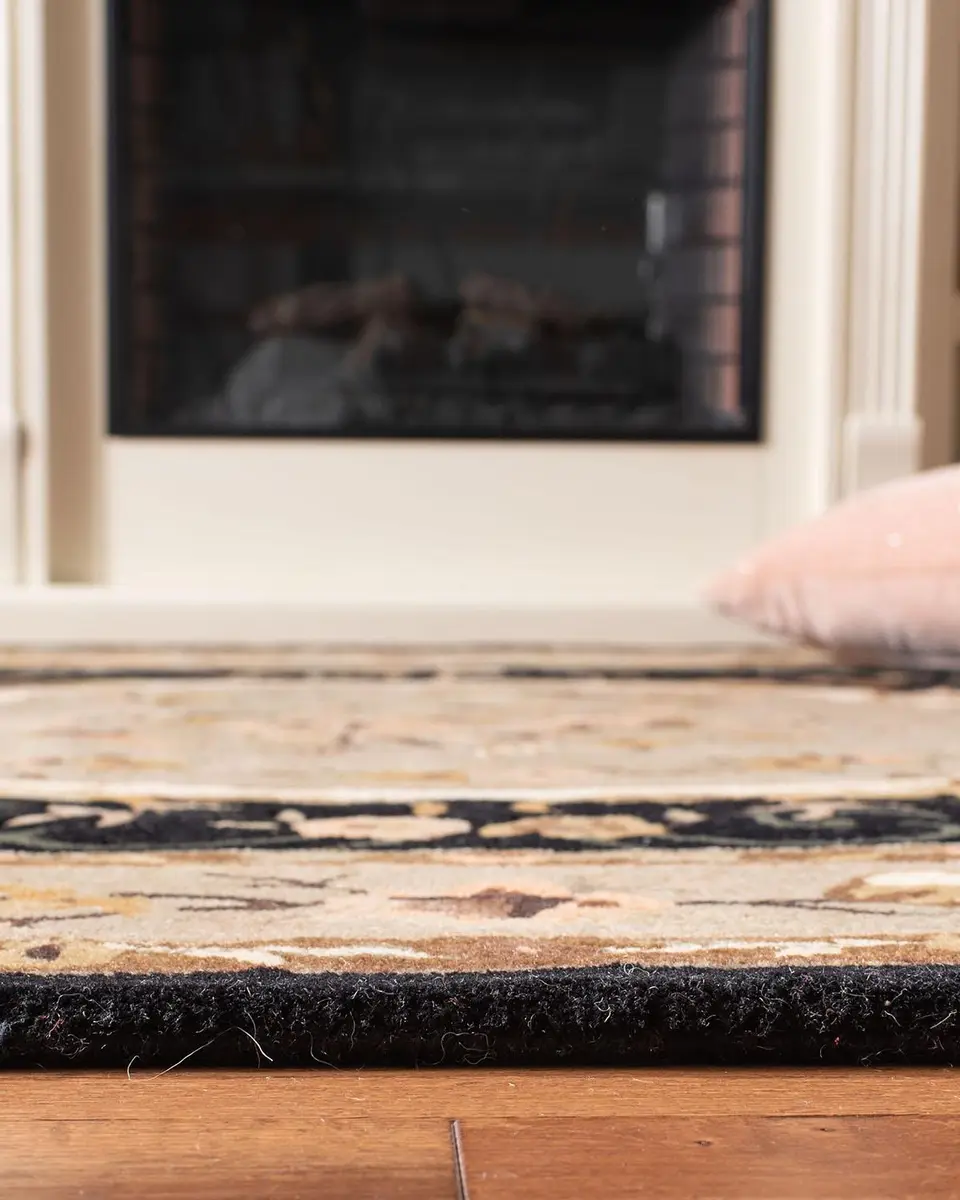 Safavieh Aubusson Night Rug | Thumbnail 4