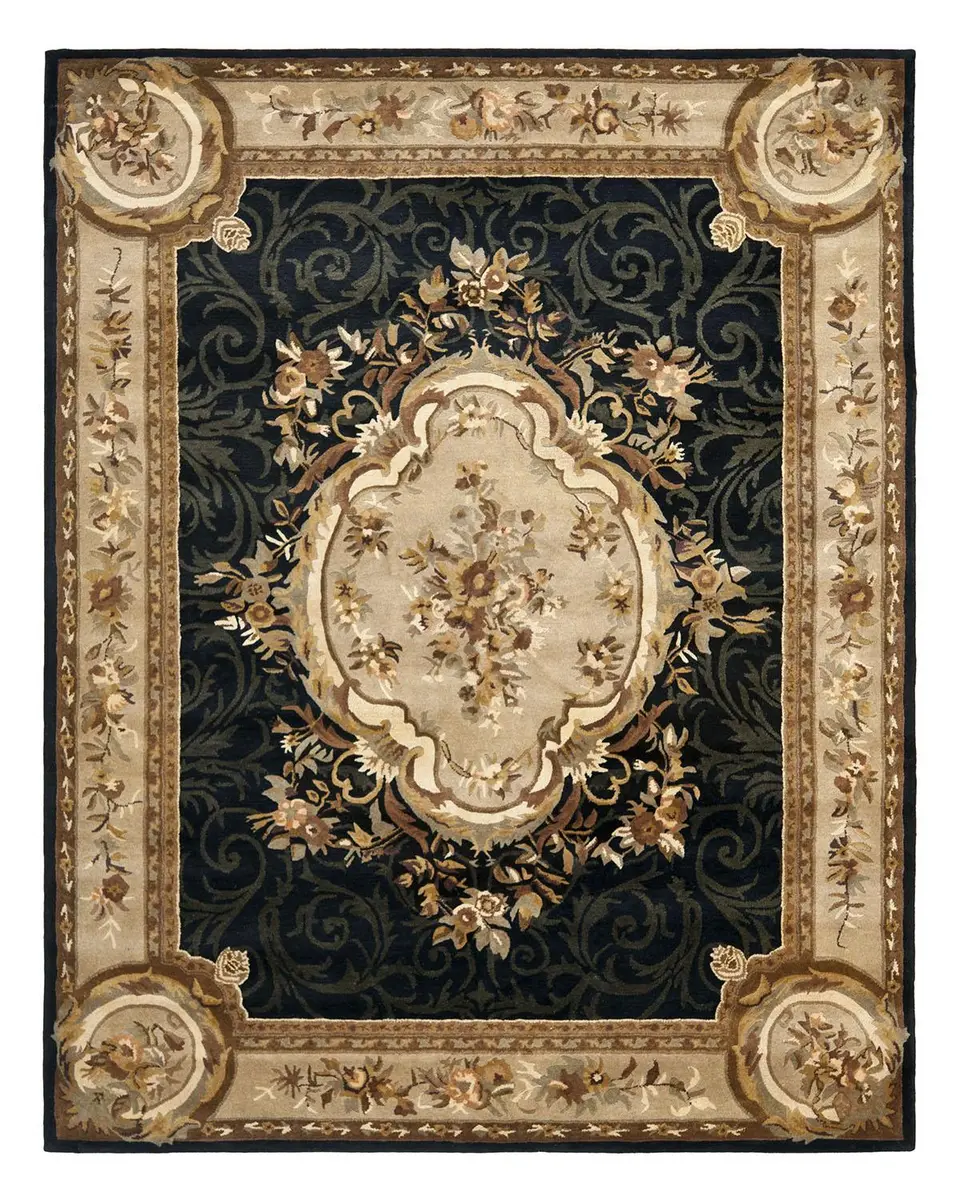Safavieh Aubusson Night Rug