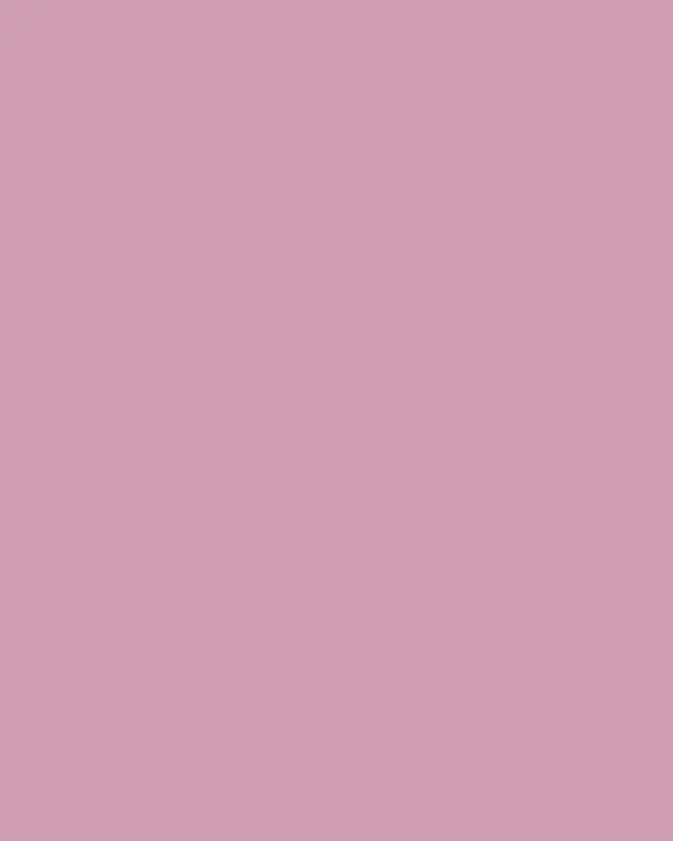 GINORI 1735 Oriente Italiano Charger Plate | Thumbnail 3