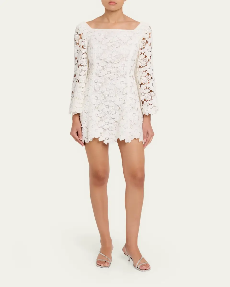 Simkhai Hana Lace Mini Dress | Thumbnail 2