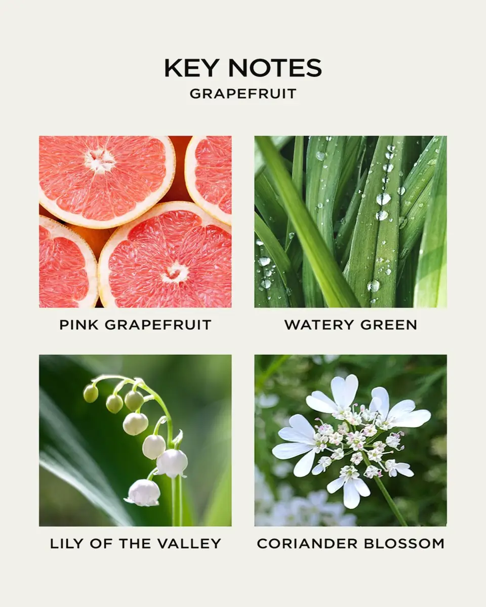 NEST New York 10 oz. Grapefruit Liquid Soap | Thumbnail 4 NEST New York 10 oz. Grapefruit Liquid Soap | Thumbnail 4