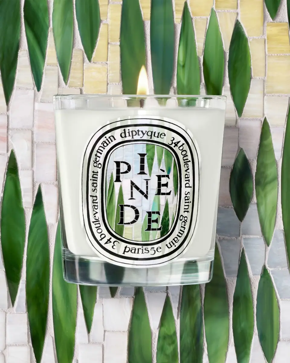 Diptyque Pinède Classic Candle, 6.5 oz. | Thumbnail 3 Diptyque Pinède Classic Candle, 6.5 oz. | Thumbnail 3