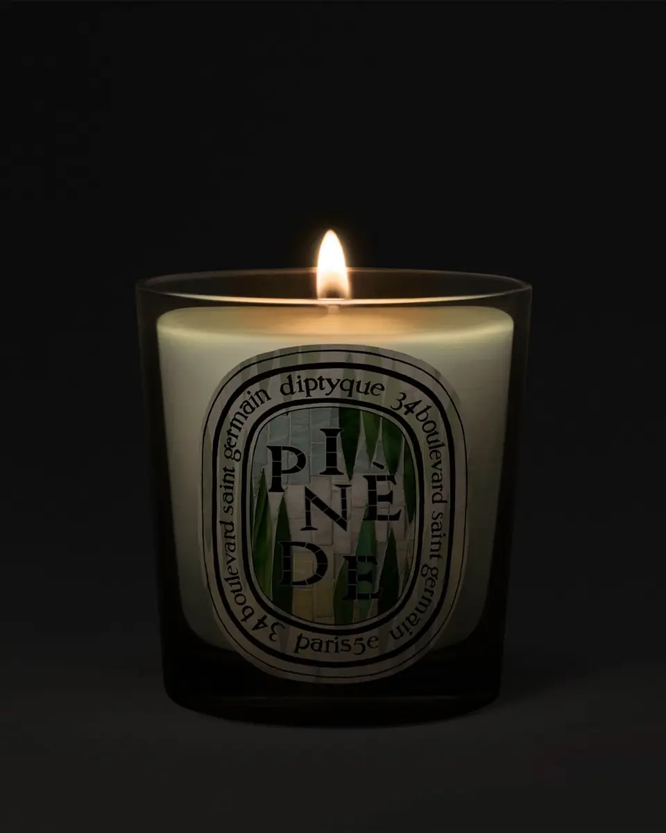Diptyque Pinède Classic Candle, 6.5 oz. | Thumbnail 4 Diptyque Pinède Classic Candle, 6.5 oz. | Thumbnail 4