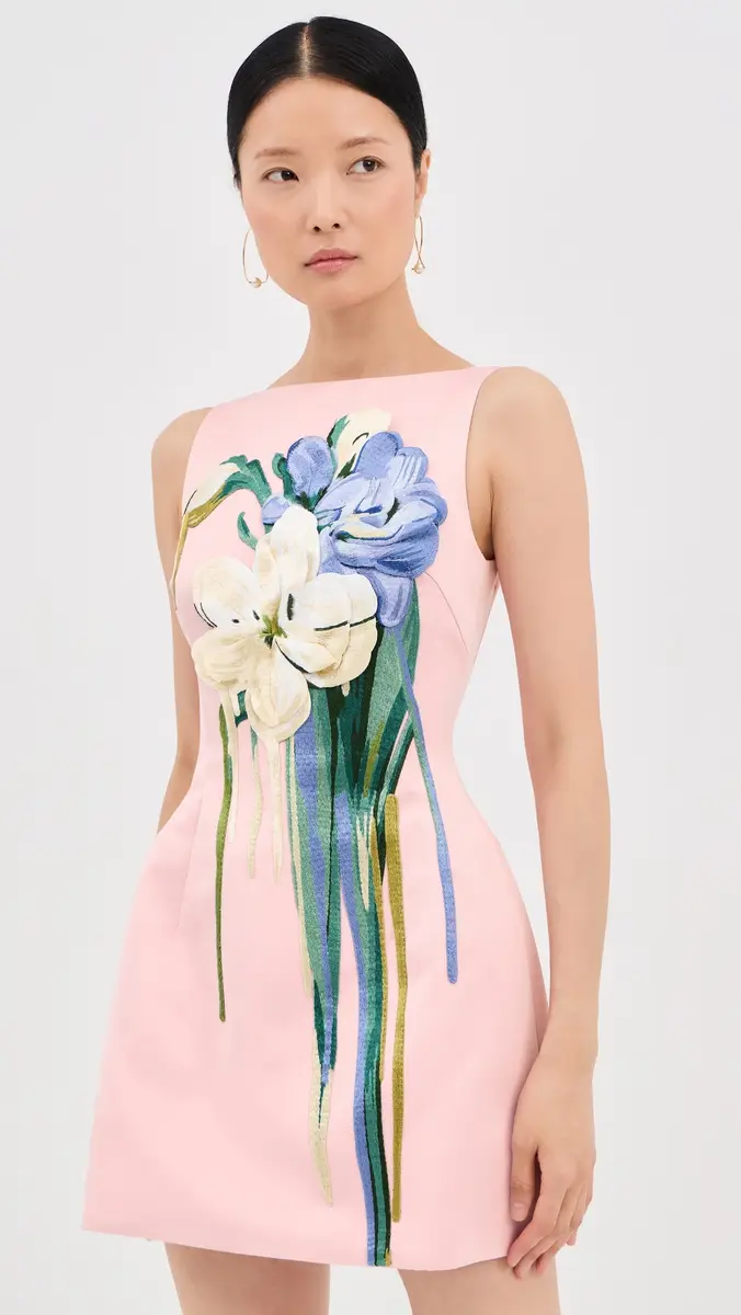 LEO LIN Ali Embroidered Mini Dress | Thumbnail 2 LEO LIN Ali Embroidered Mini Dress | Thumbnail 2