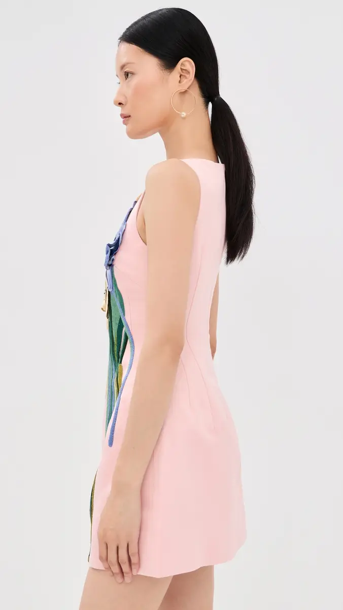 LEO LIN Ali Embroidered Mini Dress | Thumbnail 4 LEO LIN Ali Embroidered Mini Dress | Thumbnail 4