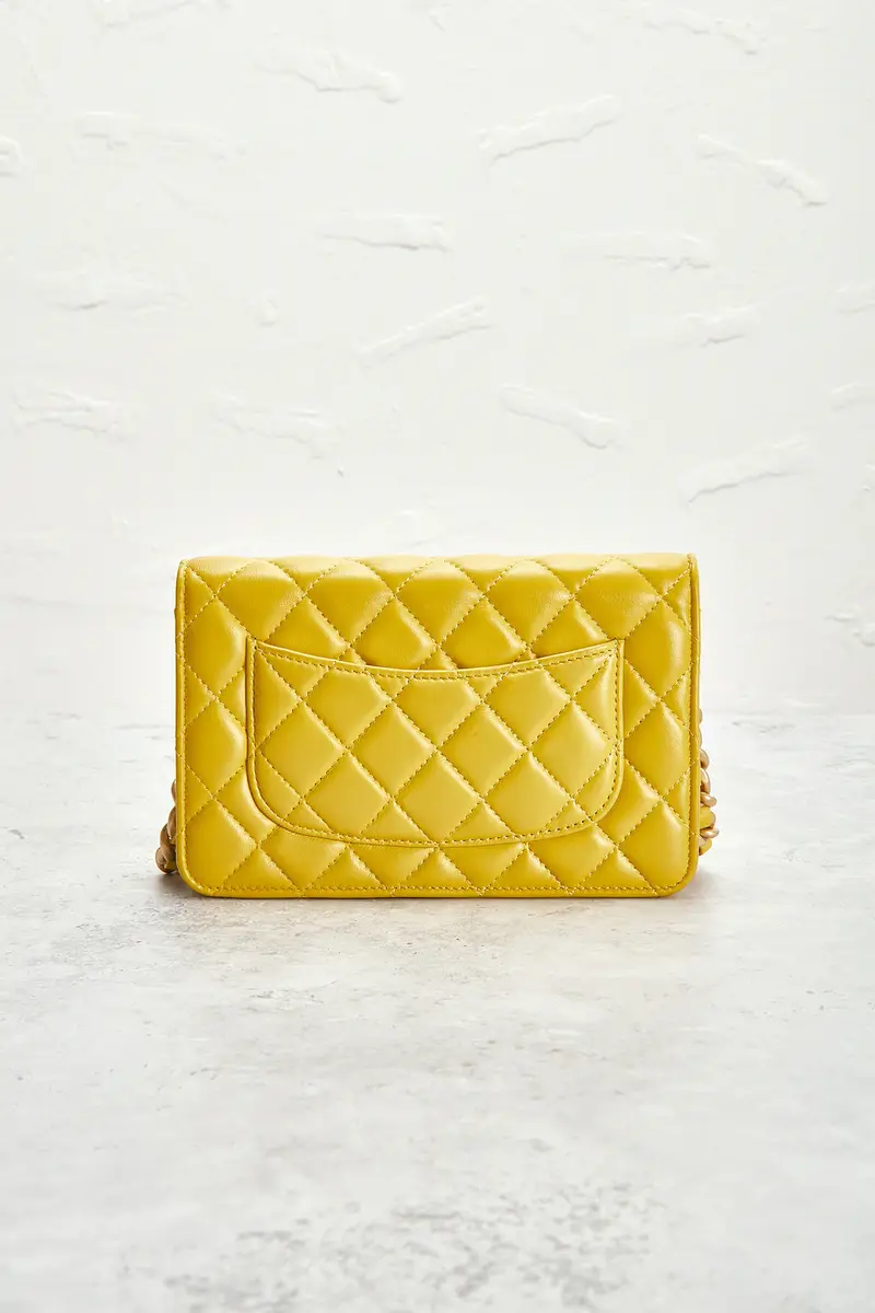 Chanel Chanel Lambskin Wallet On Chain | Thumbnail 3 Chanel Chanel Lambskin Wallet On Chain | Thumbnail 3