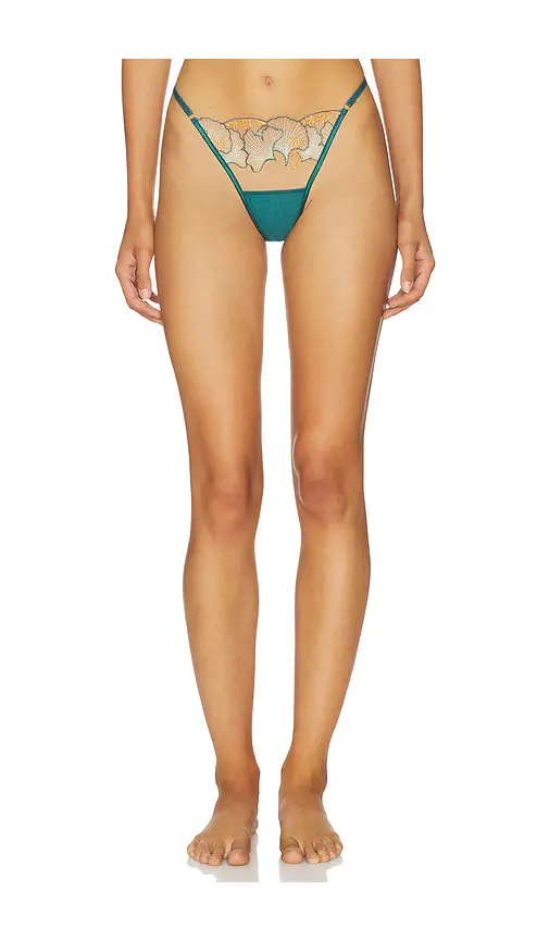 Bluebella Gianna Thong | Image 1 Bluebella Gianna Thong | Image 1