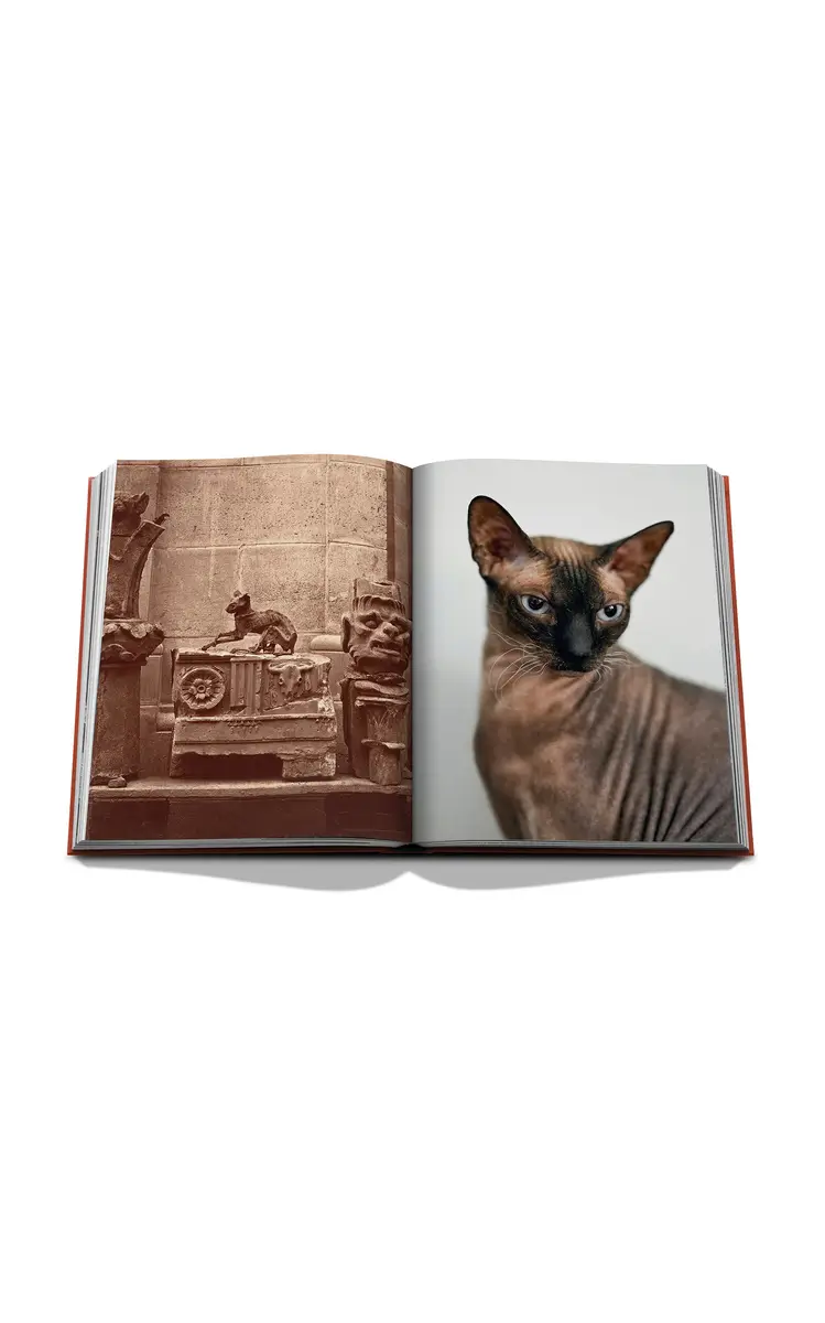 ASSOULINE Chic Cats | Thumbnail 2 ASSOULINE Chic Cats | Thumbnail 2