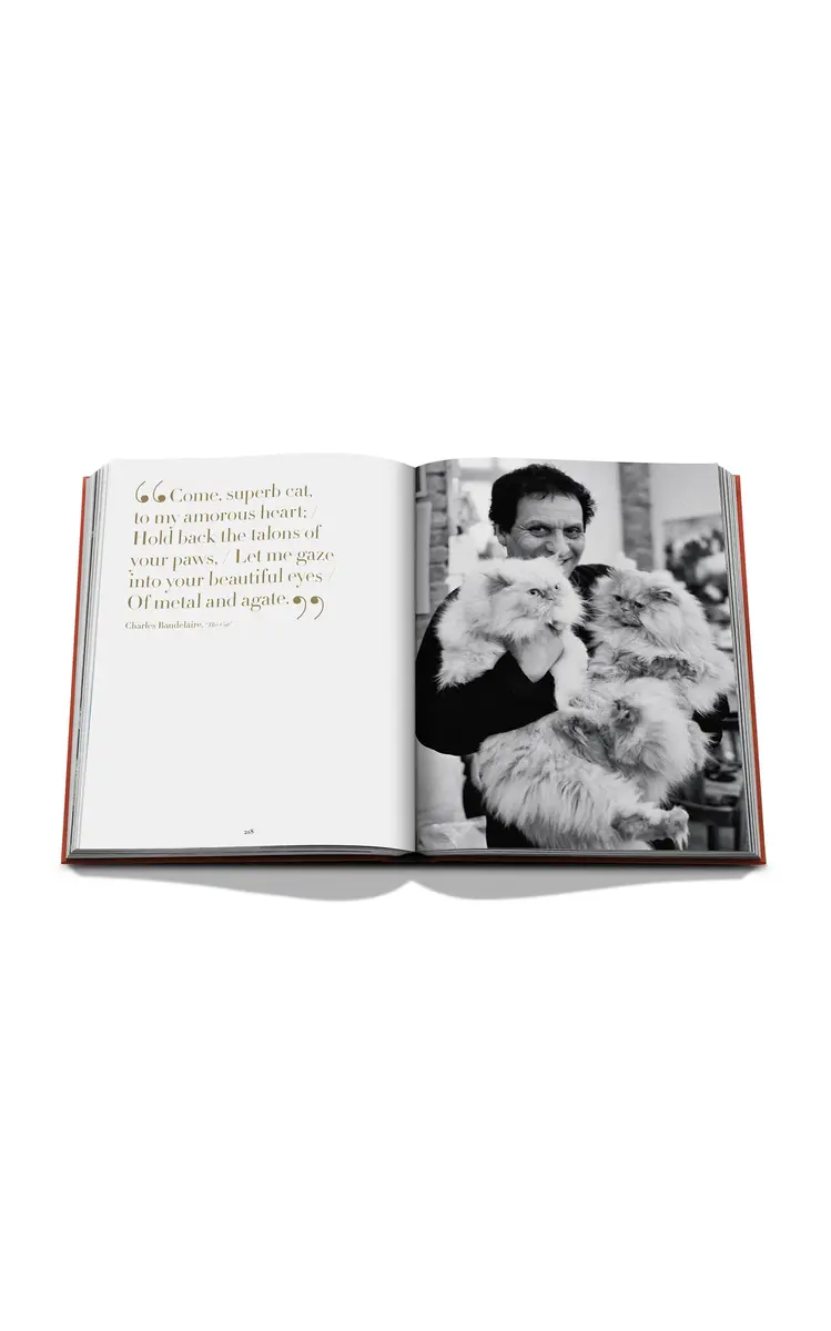 ASSOULINE Chic Cats | Thumbnail 4 ASSOULINE Chic Cats | Thumbnail 4