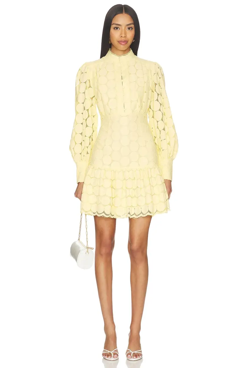 Remy Spot Lace Mini Dress Remy Spot Lace Mini Dress